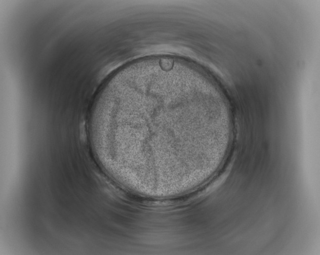 X0000115151497200911241518