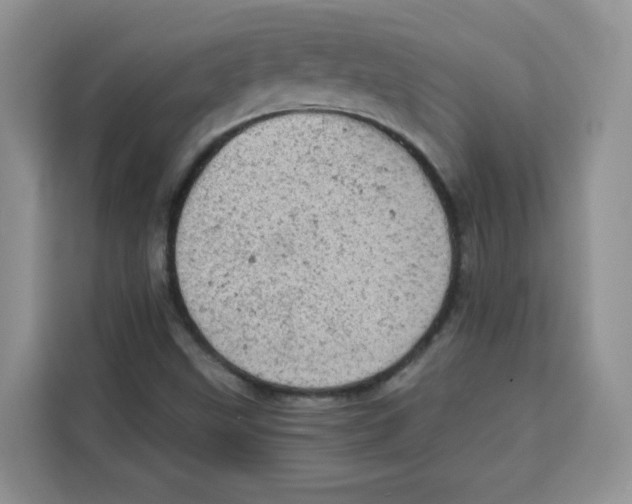 X0000115151499200911241518