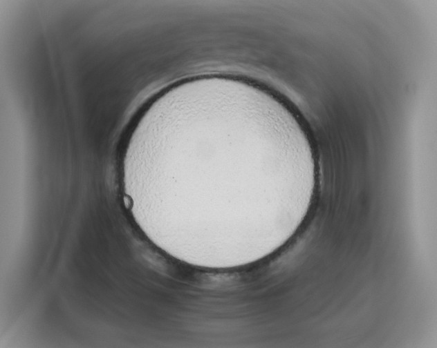 X0000115151501200911241518