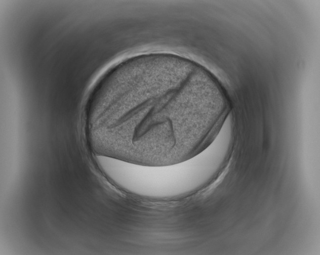 X0000115151502200911241518