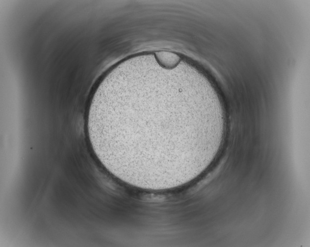 X0000115151505200911241518