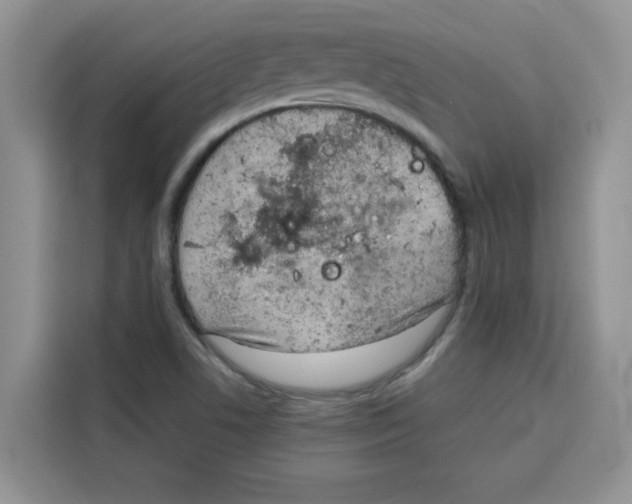 X0000115151506200911241518