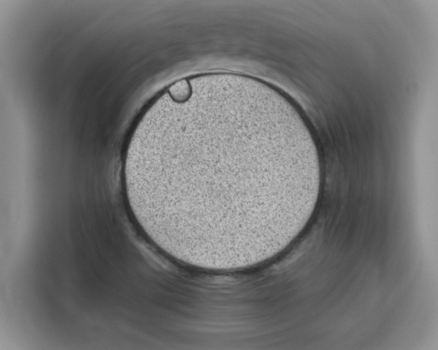 X0000115151507200911241518