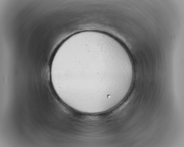 X0000115151509200911241518