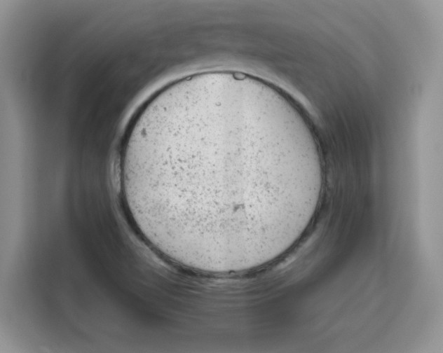 X0000115151510200911241518