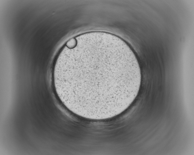 X0000115151511200911241518