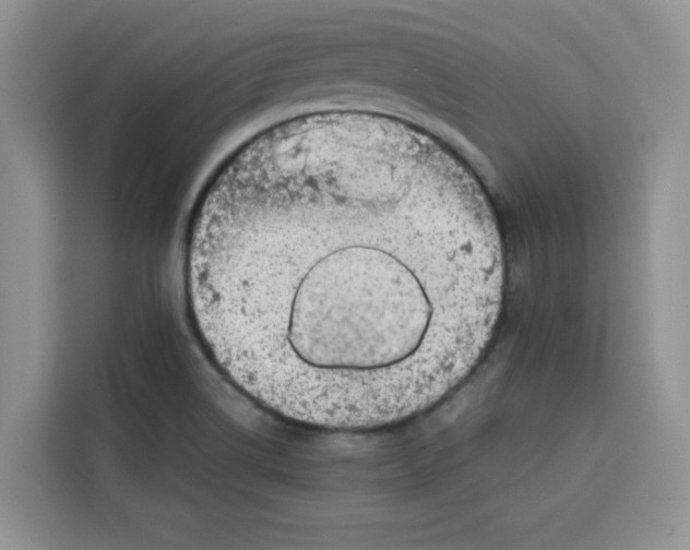 X0000115151514200911241518