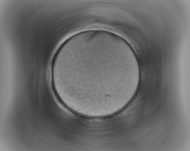 X0000115151515200911241518