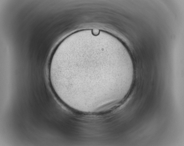 X0000115151517200911241518