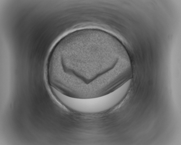 X0000115151518200911241518