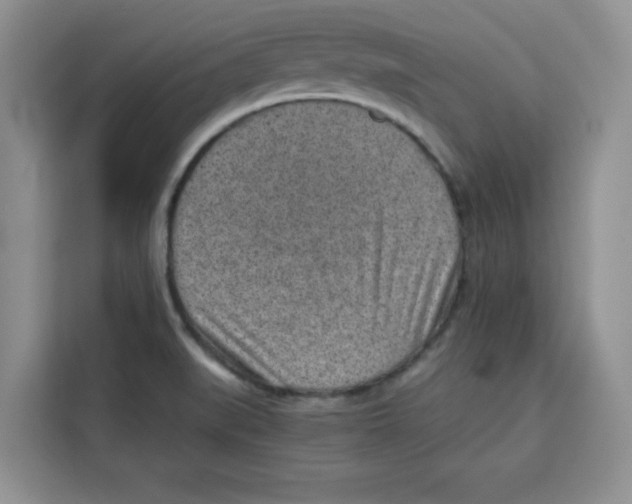 X0000115151519200911241518