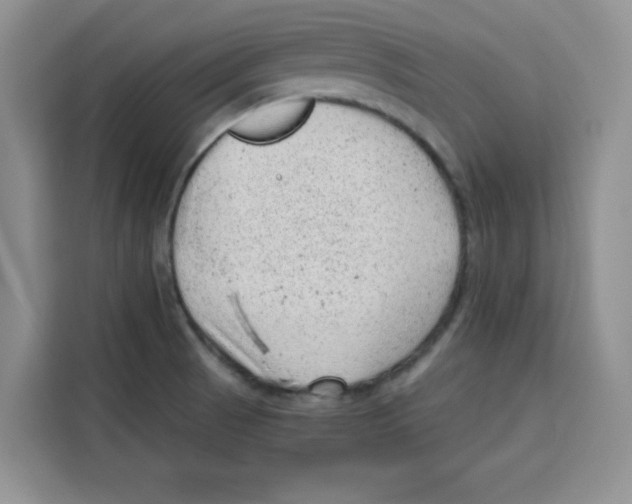 X0000115151521200911241518