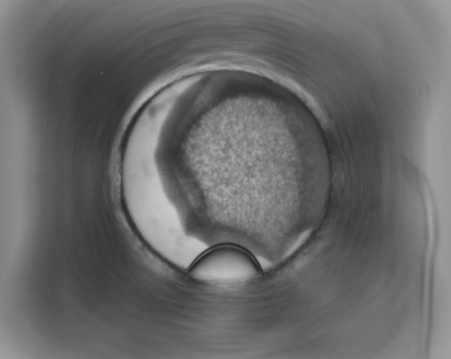 X0000115151522200911241518