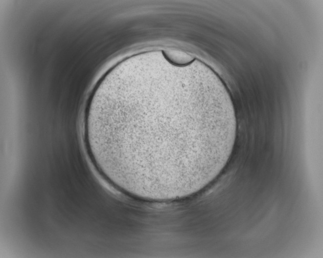 X0000115151523200911241518