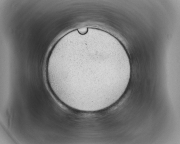 X0000115151525200911241518