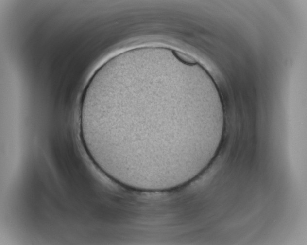 X0000115151526200911241518