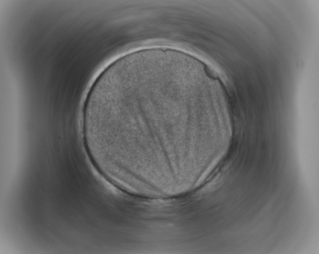 X0000115151527200911241518