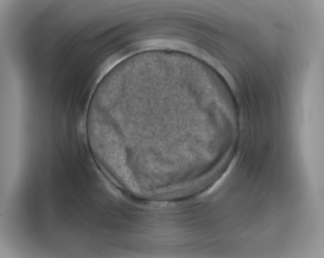 X0000115151529200911241518