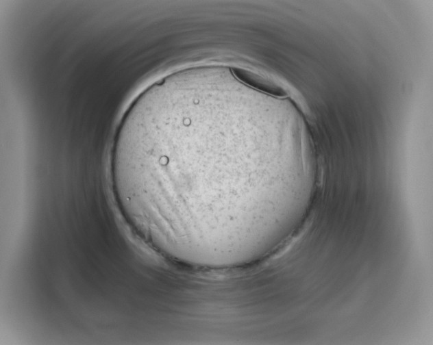 X0000115151530200911241518