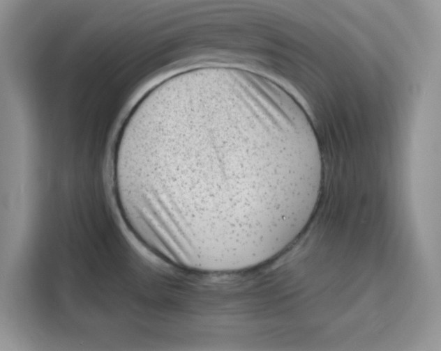 X0000115151531200911241518