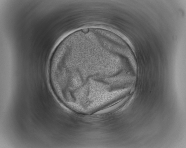 X0000115151533200911241518