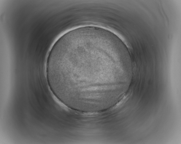 X0000115151535200911241518