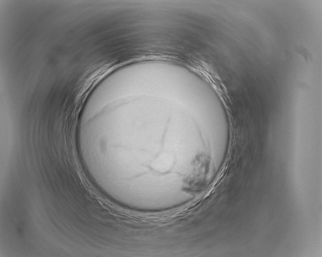 X0000115150001200912081356