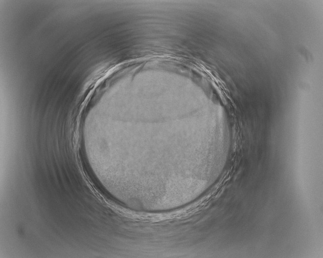 X0000115150002200912081356