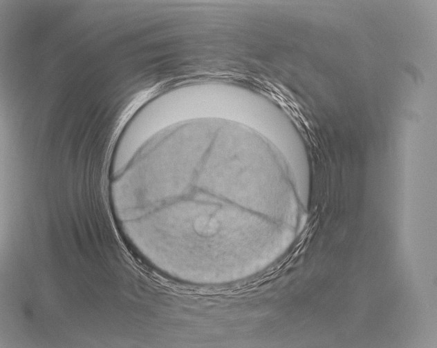 X0000115150003200912081356