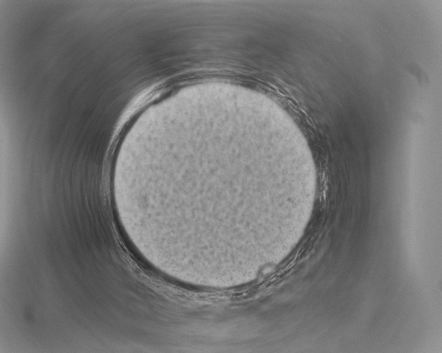 X0000115150004200912081356