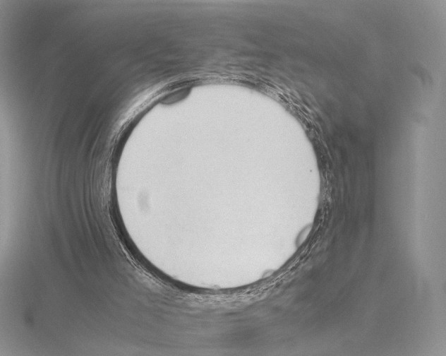 X0000115150005200912081356