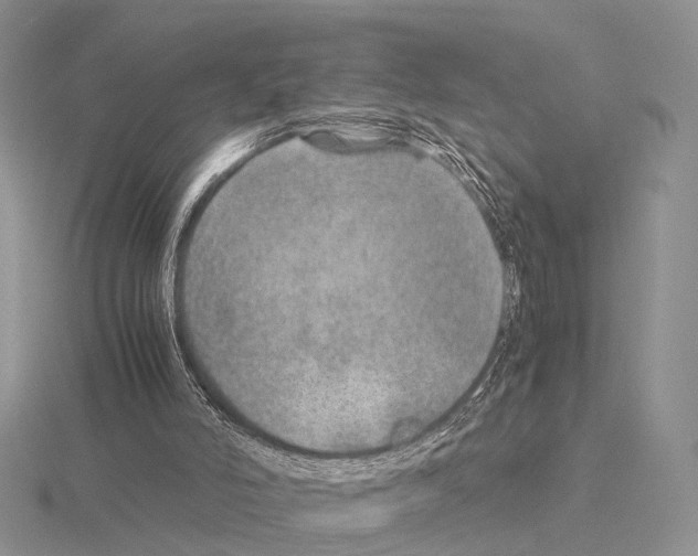 X0000115150006200912081356