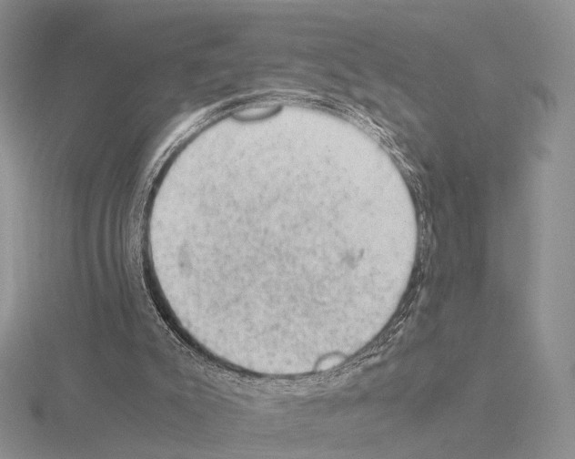 X0000115150007200912081356