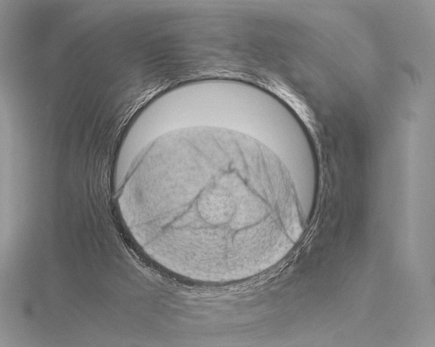 X0000115150009200912081356