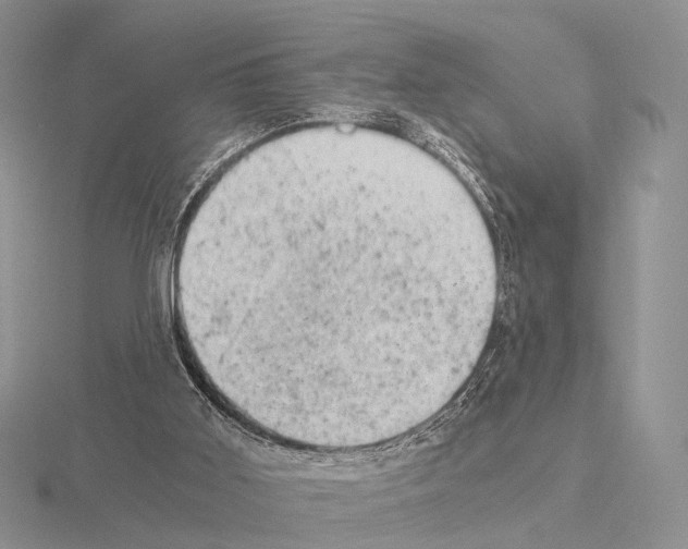 X0000115150011200912081356