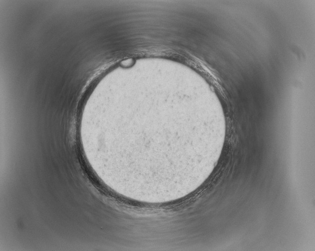 X0000115150012200912081356