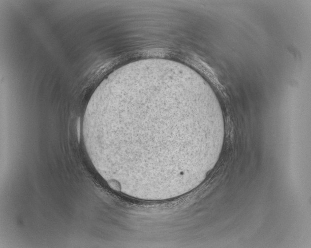 X0000115150013200912081356