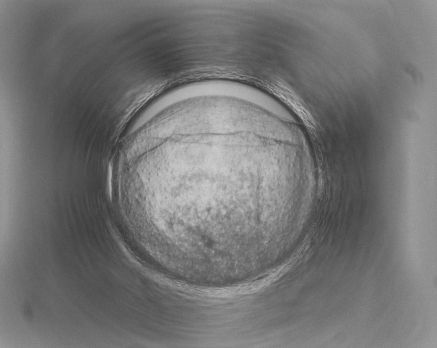 X0000115150014200912081356