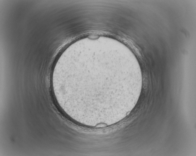 X0000115150015200912081356