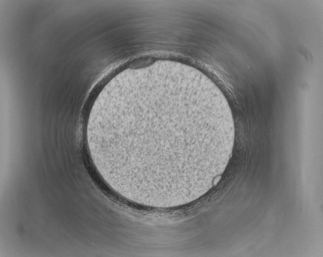 X0000115150016200912081356