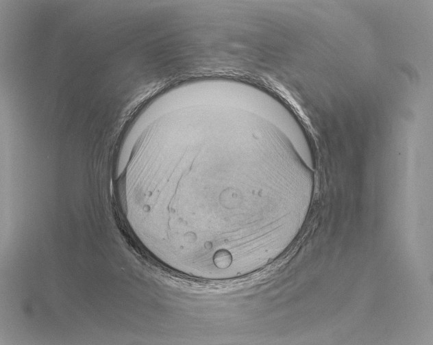 X0000115150019200912081356