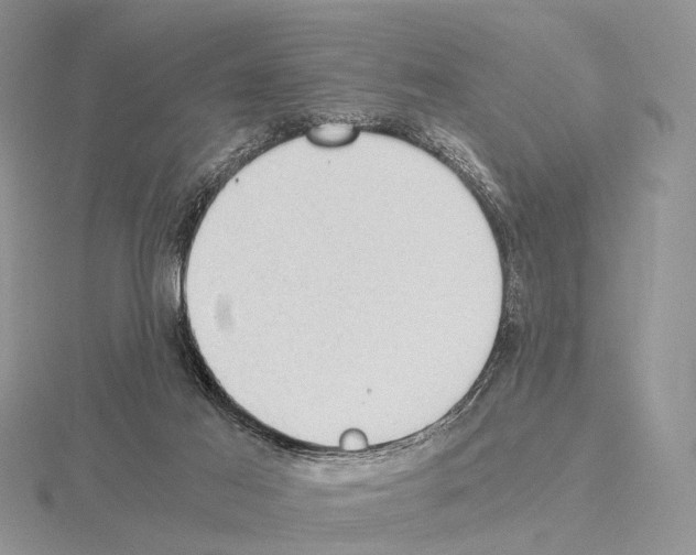 X0000115150021200912081356