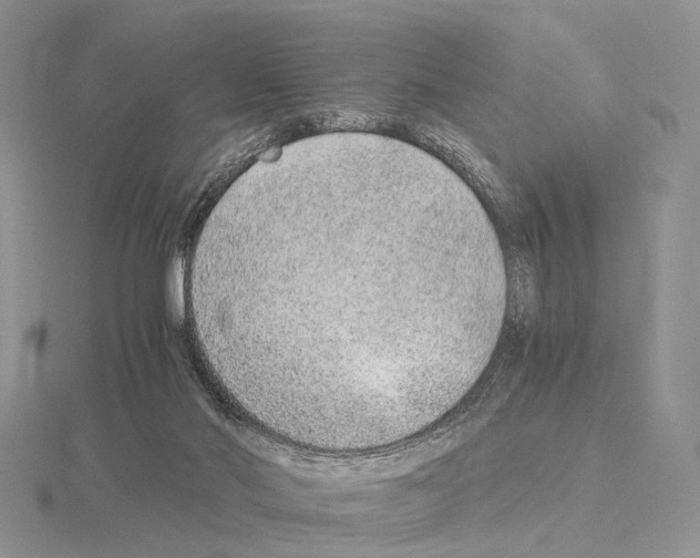 X0000115150022200912081356