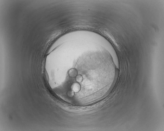 X0000115150023200912081356