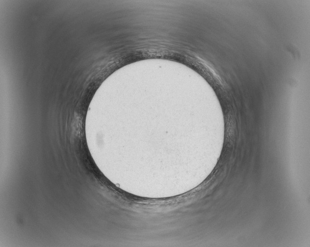 X0000115150025200912081356