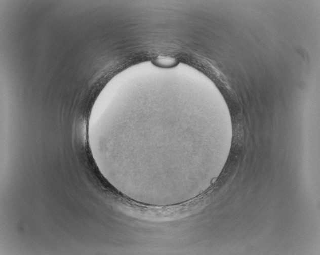 X0000115150027200912081356