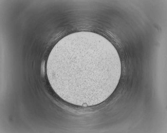 X0000115150028200912081356