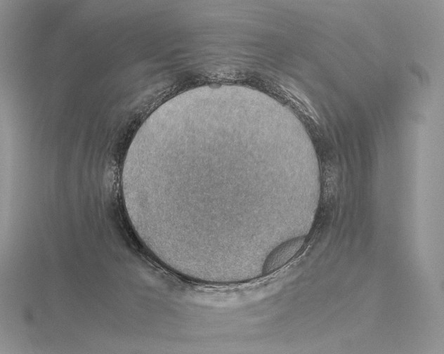 X0000115150029200912081356