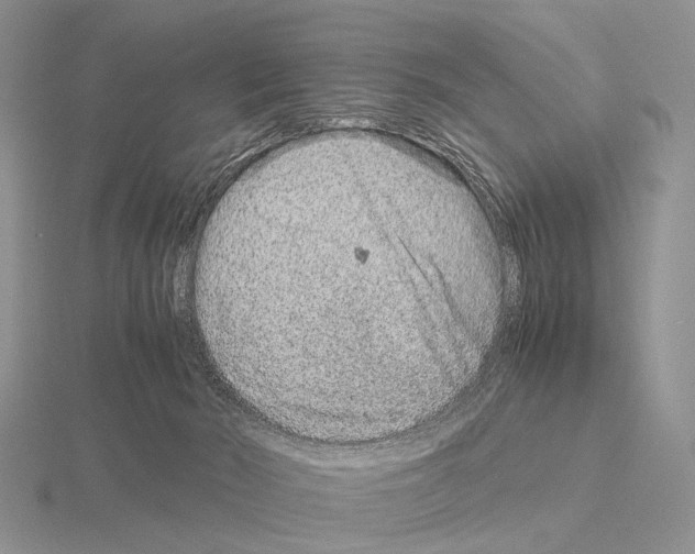 X0000115150030200912081356