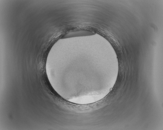 X0000115150031200912081356